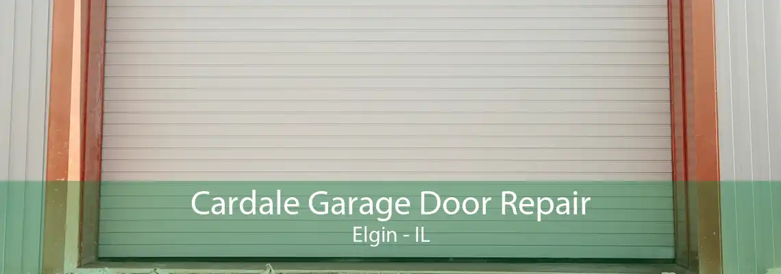 Cardale Garage Door Repair Elgin - IL