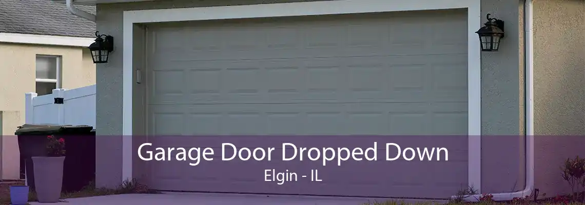 Garage Door Dropped Down Elgin - IL