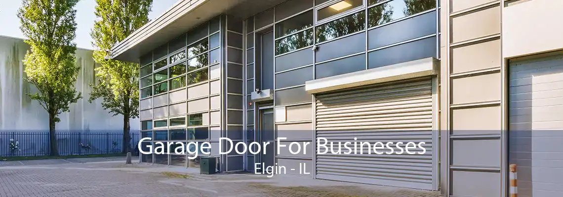 Garage Door For Businesses Elgin - IL