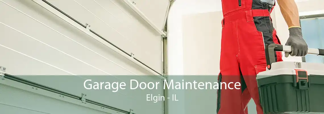 Garage Door Maintenance Elgin - IL