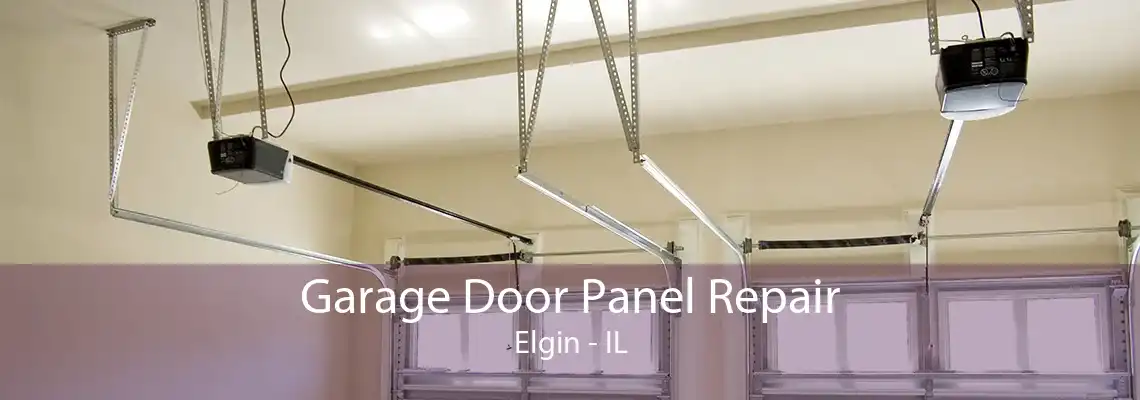 Garage Door Panel Repair Elgin - IL