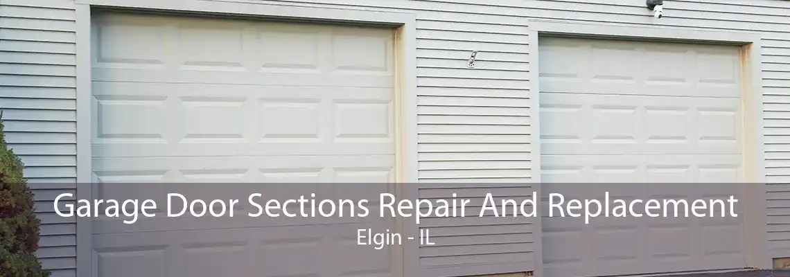 Garage Door Sections Repair And Replacement Elgin - IL