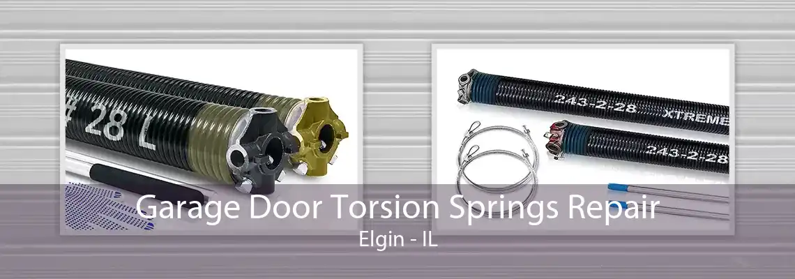 Garage Door Torsion Springs Repair Elgin - IL