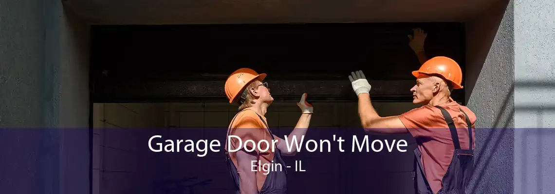 Garage Door Won't Move Elgin - IL