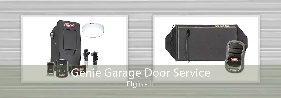 Genie Garage Door Service Elgin - IL