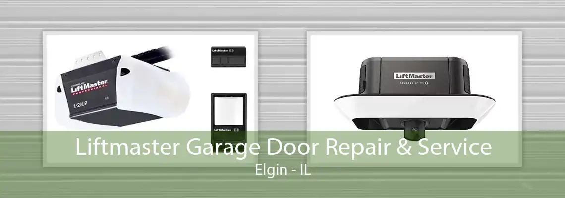 Liftmaster Garage Door Repair & Service Elgin - IL