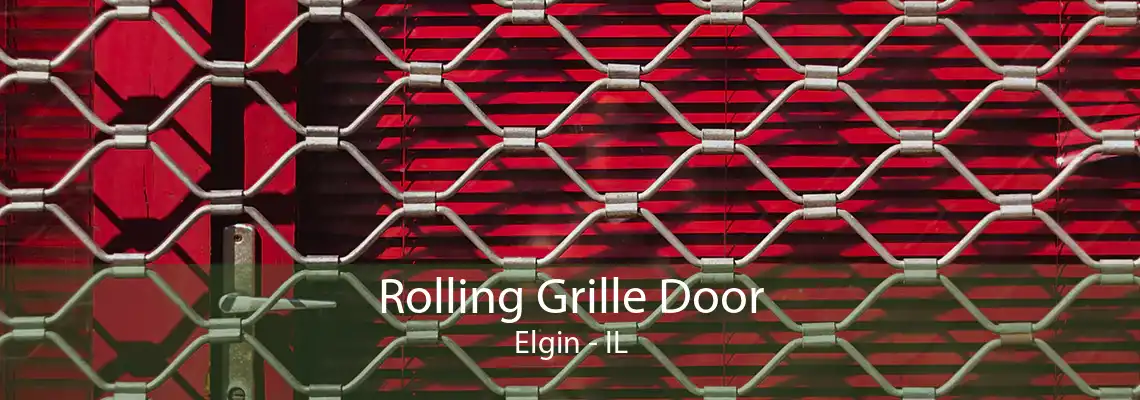 Rolling Grille Door Elgin - IL