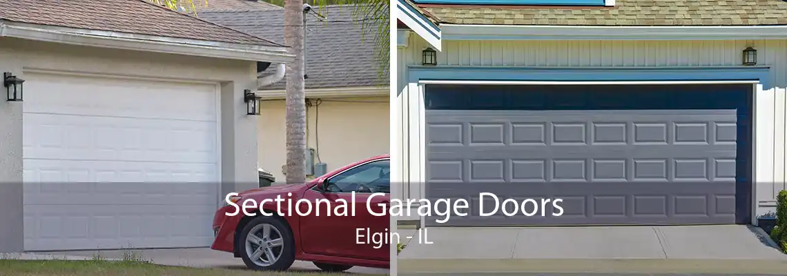 Sectional Garage Doors Elgin - IL